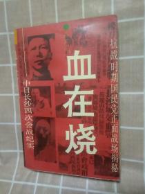 血在烧   中日长沙四次会战纪实