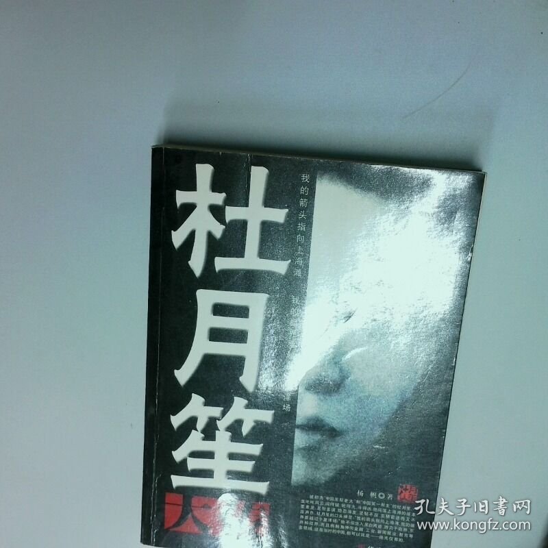 杜月笙大传  杨帆著 华文出版社