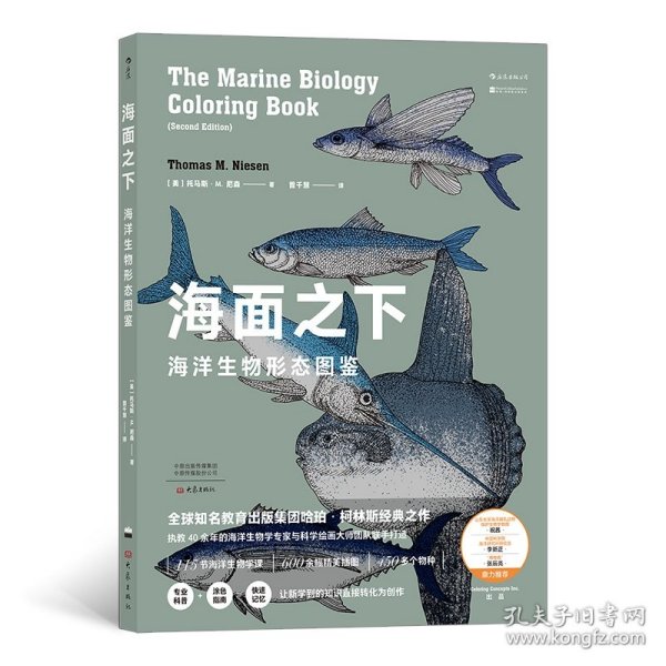 海面之下：海洋生物形态图鉴（一本可以涂色的海洋科普书）