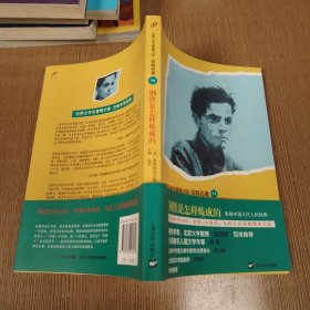 钢铁是怎样炼成的