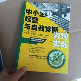 中小企业经营与自我诊断咨询实务