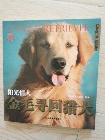 金毛寻回猎犬