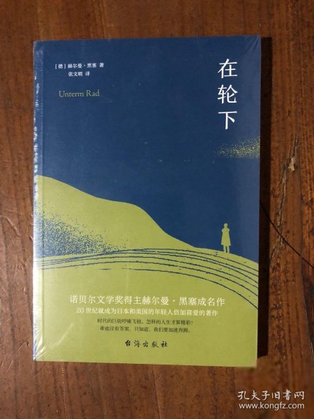 在轮下（村上春树爱不释手的读物，他的文字最符合年轻人向往的“诗和远方”的气质。）