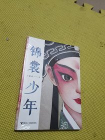 锦裳少年(以“昆曲”作为创作题材的小说,让更多青少年了解并爱上昆曲）