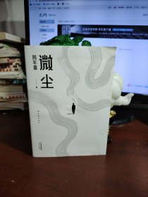 微尘（易中天感动推荐；陈年喜非虚构故事集；卑微如尘，也要热烈地活着。）