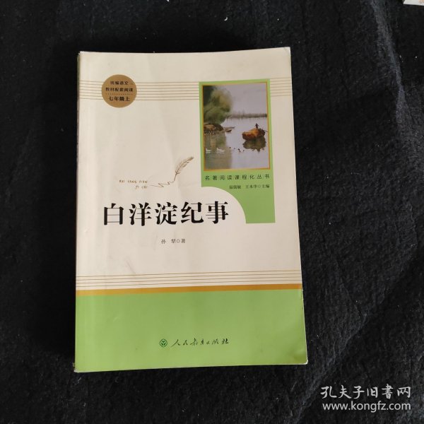 白洋淀纪事 名著阅读课程化丛书（统编语文教材配套阅读）七年级上