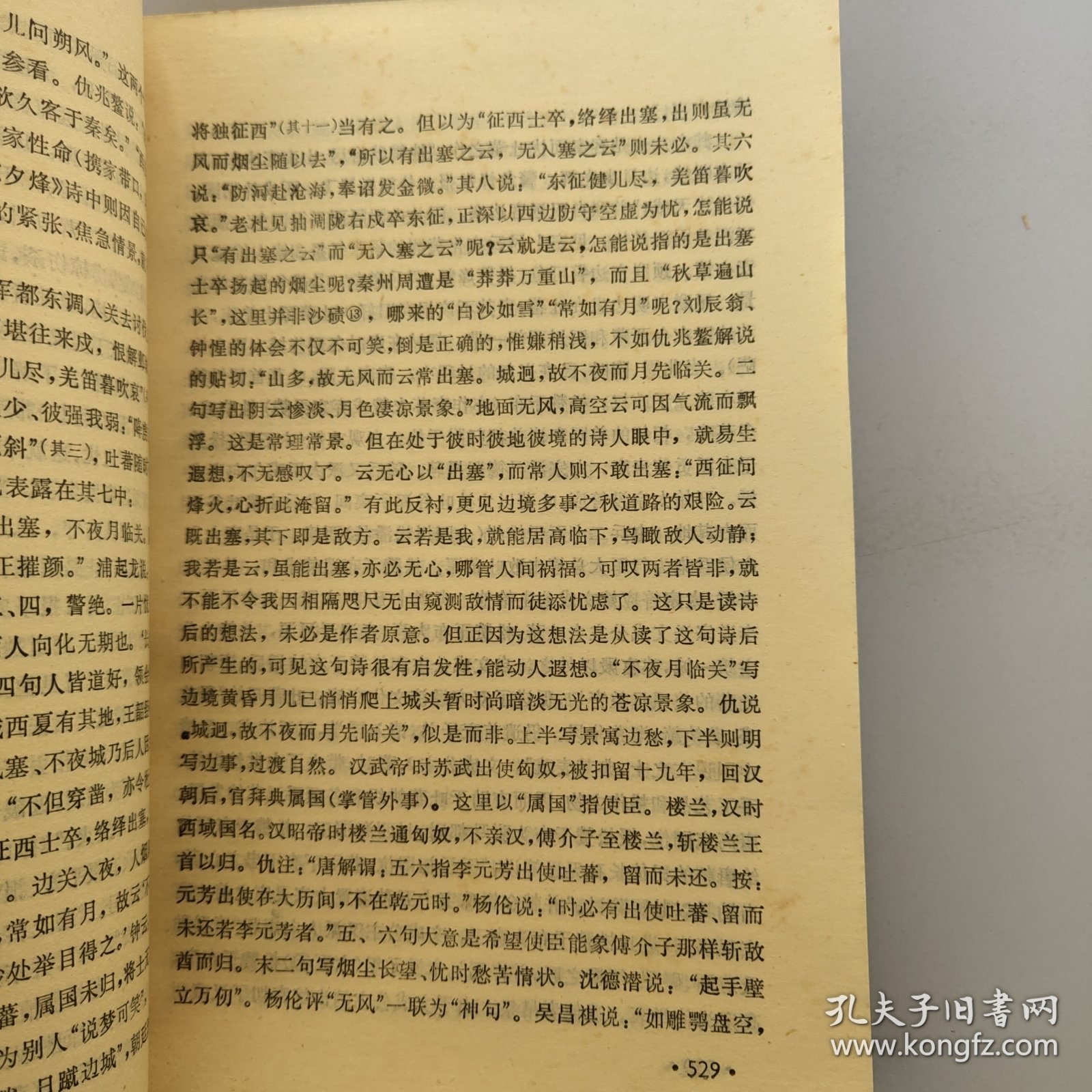 杜甫评传.中卷