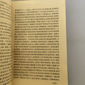 杜甫评传.中卷