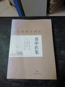 上海浦东新区名中医集