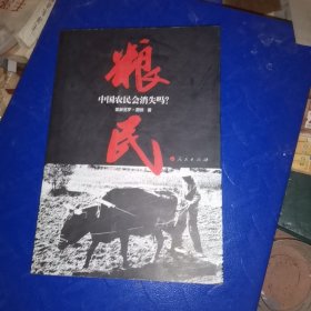 粮民：中国农民会消失吗？