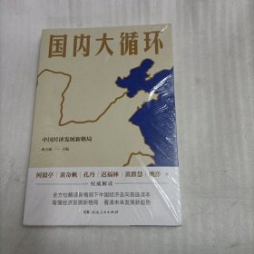 国内大循环（未开封）