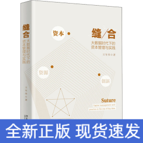 縫合 大數(shù)據(jù)時(shí)代下的資本管理與實(shí)踐