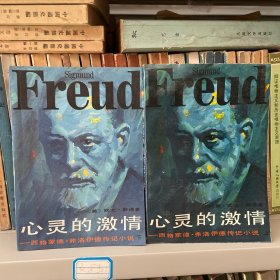 心灵的激情（上下）