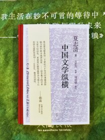 中国文学纵横