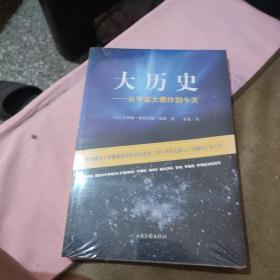 大历史：从宇宙大爆炸到今天