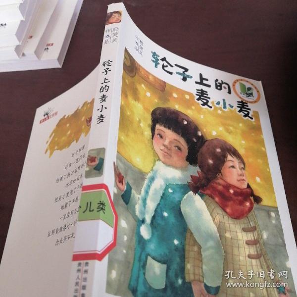 轮子上的麦小麦——国际林格伦纪念奖2013 年度提名作者；悬念迭起，幽默而忧伤，成长往往在一夜之间（蒲公英童书馆出品）