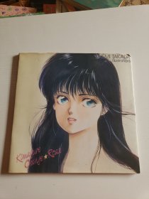 日文原版akemi takada(高田明美画集)