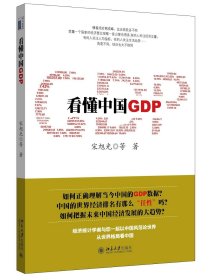 全新正版懂GDP9787305671