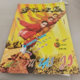 少林与太极1999