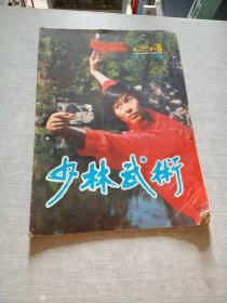少林武术1987  5
