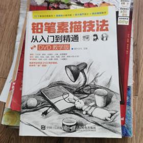 铅笔素描技法从入门到精通（DVD教学版）