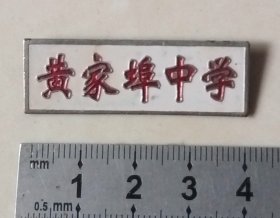 （宁波余姚）黄家埠中学校徽