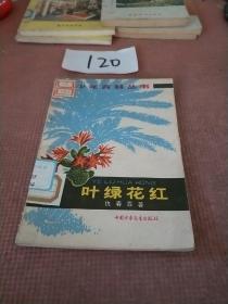 叶绿花红