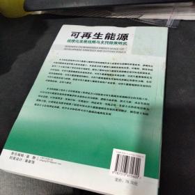 可再生能源：规模化发展战略与支持政策研究