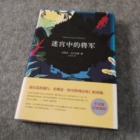 迷宫中的将军