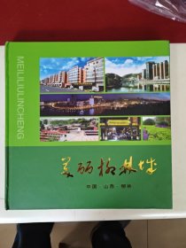 美丽柳林城（画册）