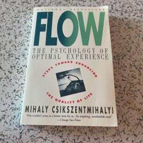 Flow：The Psychology of Optimal Experience