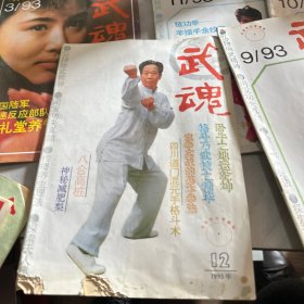 武魂杂志1993年八本合售品相如图