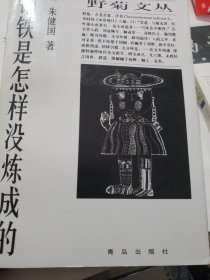 钢铁是怎样没炼成的