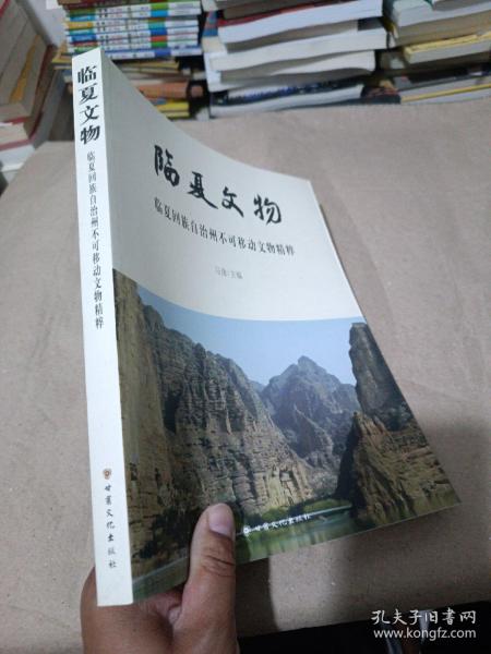 临夏文物  临夏回族自治州不可移动文物精粹