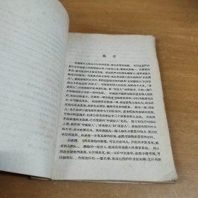 河套人（修订本）