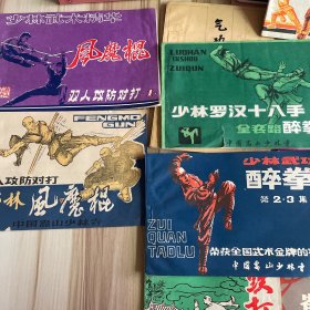 武术，武当太乙五行拳，气功四时练法，练功三十六法，查拳，甲组棍术图解，少林武功醉拳少林罗汉十八手，少林三十六跌打，少林拳法，少林疯魔棍，疯魔棍双人功放对打，少林武术秘传，鹤拳，嵩山少林拳法，黄啸侠拳法（16本合售）