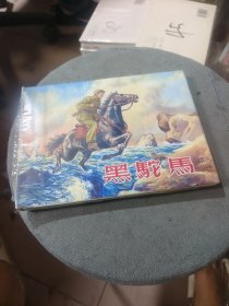 黑驼马