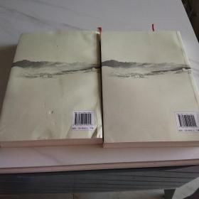 耿飚传（上下册）