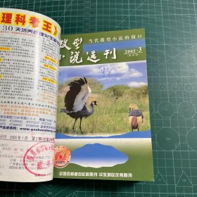 微型小说选刊2005.1-3.5-12（11册合售）