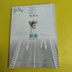 猫猫向前冲