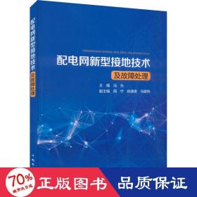 配电网新型接地技术及故障处理 水利电力 作者