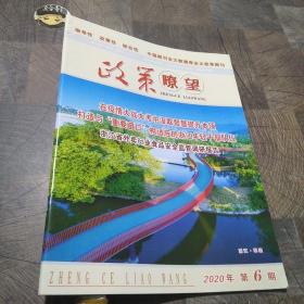 政策瞭望2020年第6期