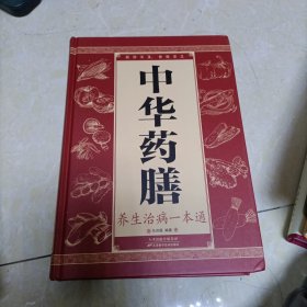 中华药膳养生治病一本通