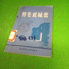 羽毛蛇的秘密（[法]勒内.迪夏克/著）外语教学与研究出版社