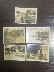 西湖风景，民国原版照片：柳浪闻莺、武松墓、三潭印月、保俶塔、苏小小墓，五张合售，9