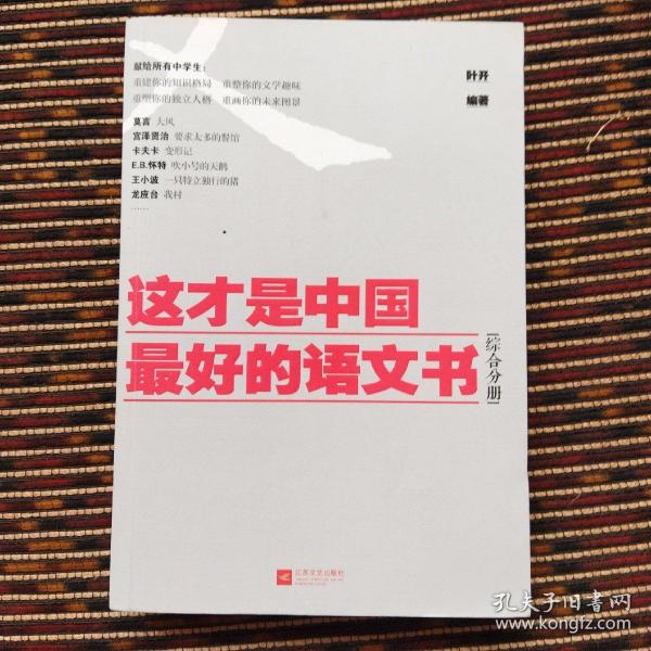 这才是中国最好的语文书：综合分册