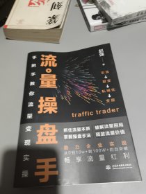 流量操盘手：手把手教你流量变现实操