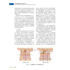 儿童体格检查图册