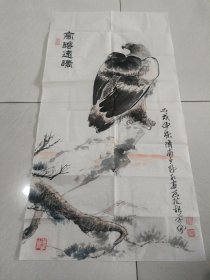 胡学伦【鹰】 画片01