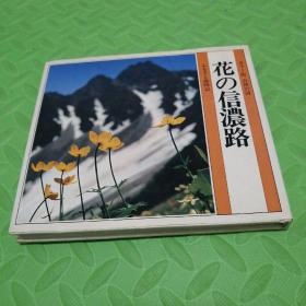 ：《カラー版 自然の诗：花の信浓路（ふるさと岁时记）》